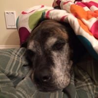 Amy S.'s profile image