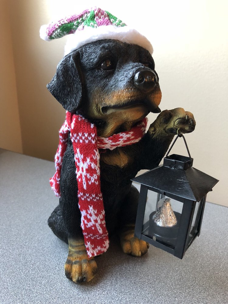 Nora N.'s profile image