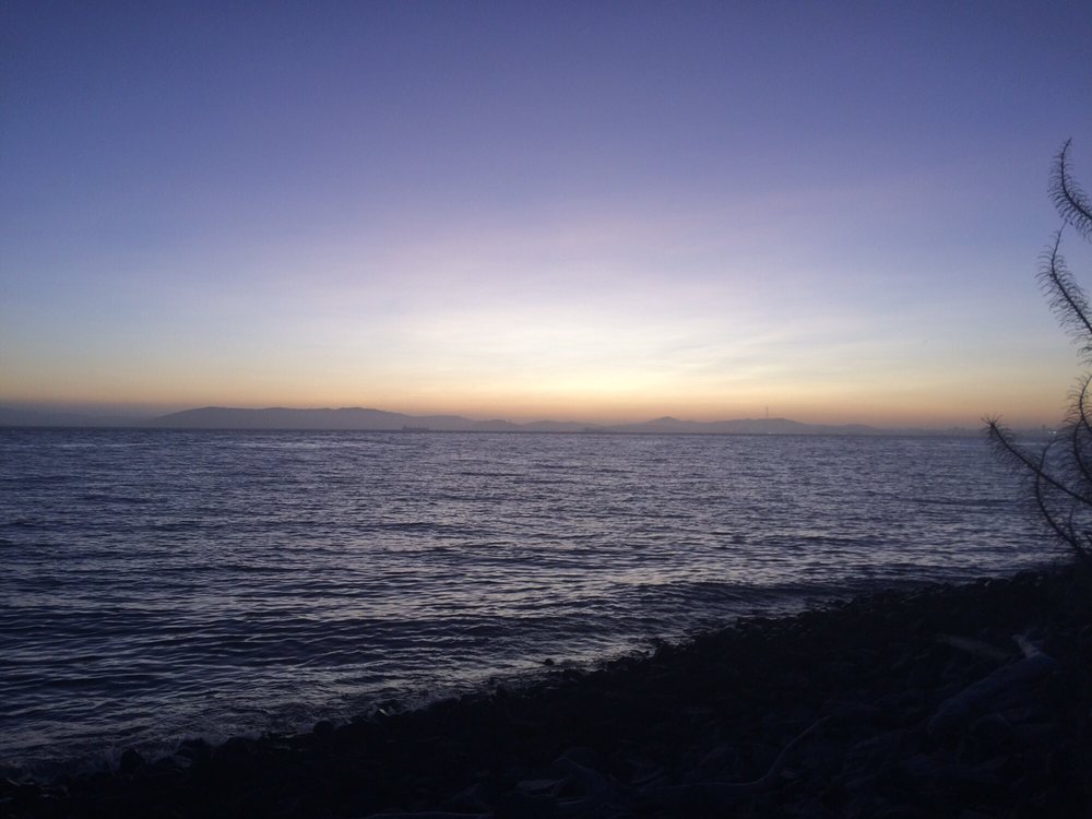 Janine T.'s profile image