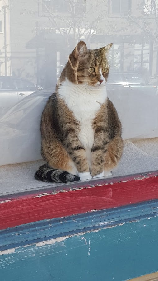 Lydia B.'s profile image