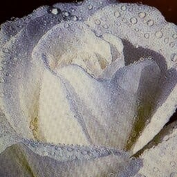 Deloris W.'s profile image