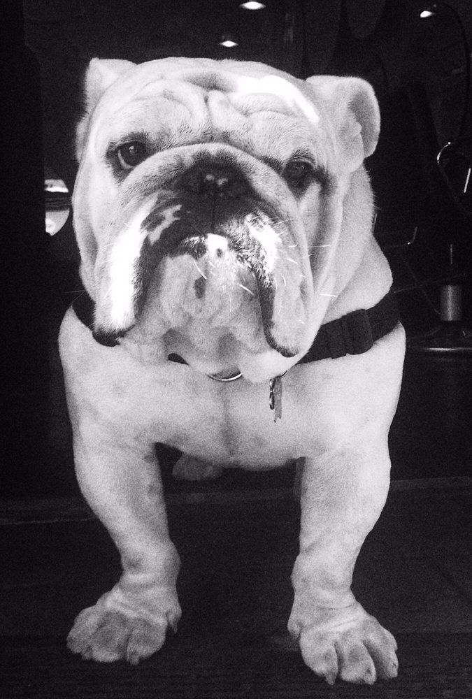 Daniel S.'s profile image