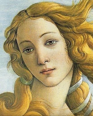 Santa Cruz L.'s profile image