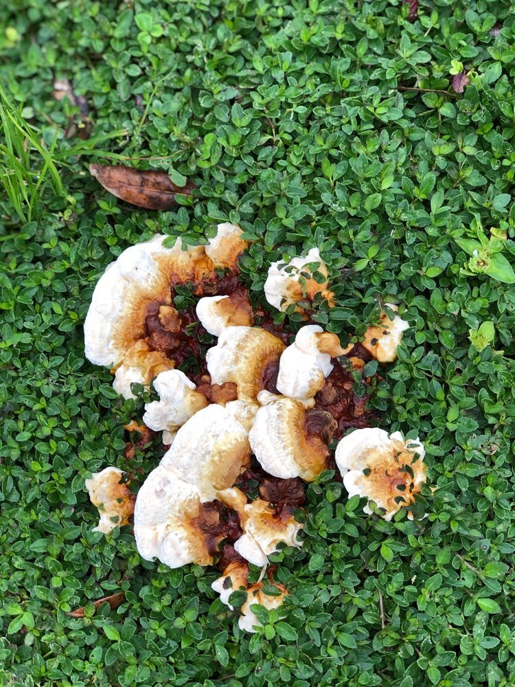 Nick M.'s profile image