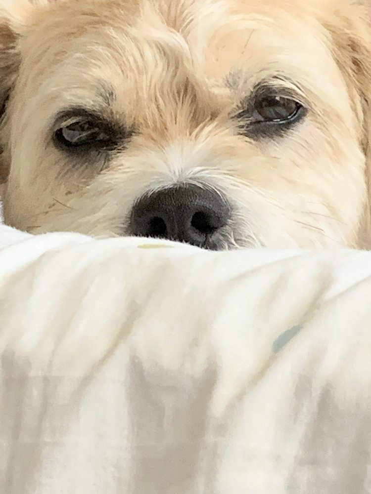 Andrew N.'s profile image