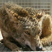 Jose B.'s profile image