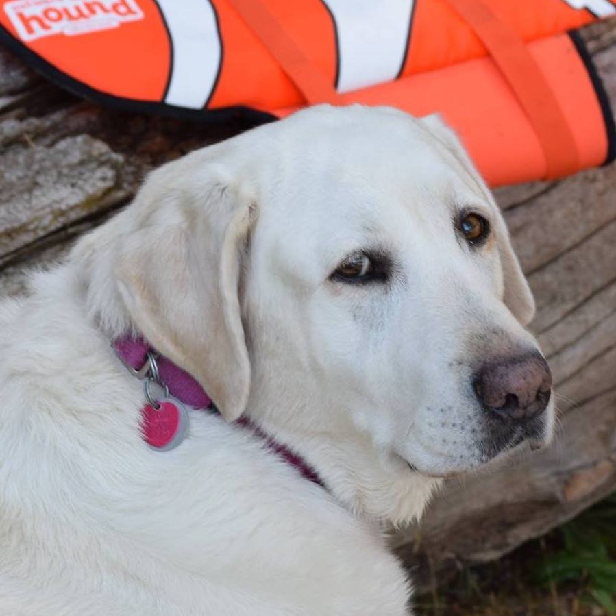 Elaine V.'s profile image