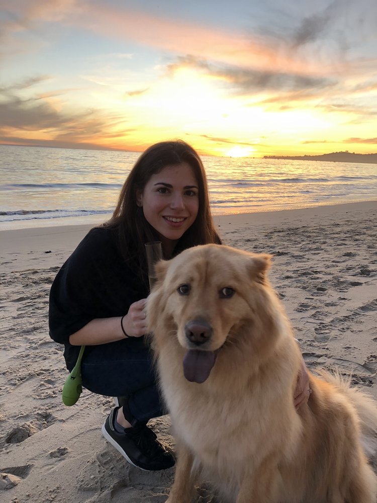 Rachel D.'s profile image