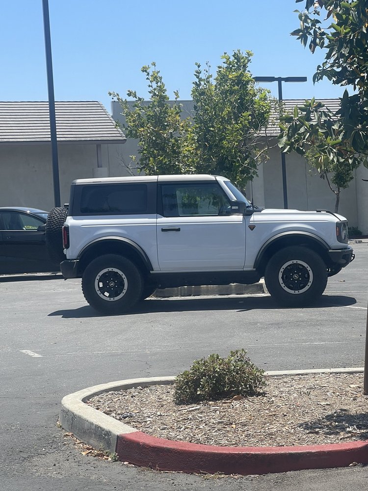 M M.'s profile image