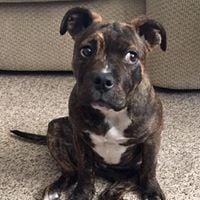 Stephen J.'s profile image