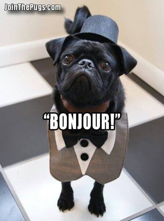 Christopher M.'s profile image