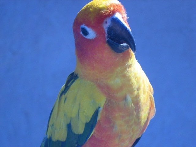 J N.'s profile image