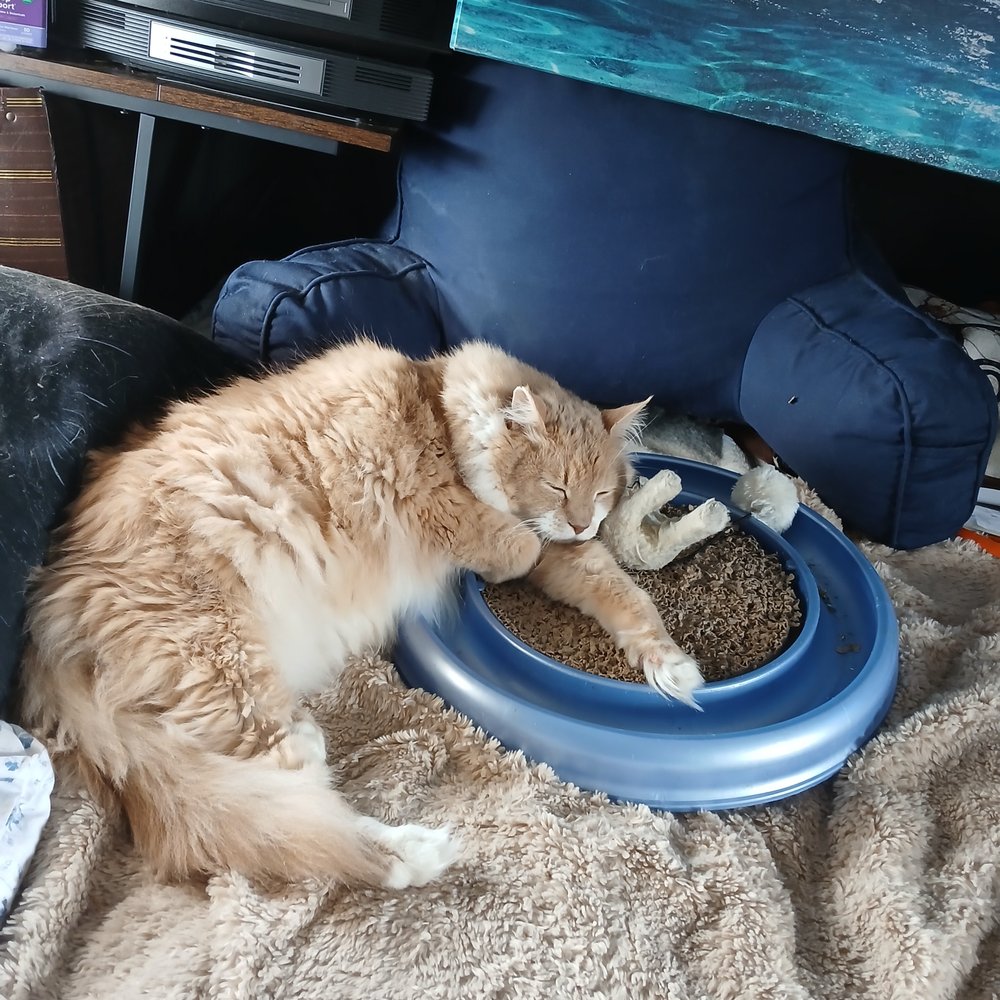 Elizabeth W.'s profile image