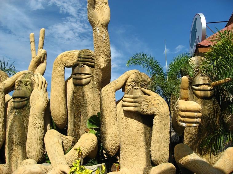 J S.'s profile image