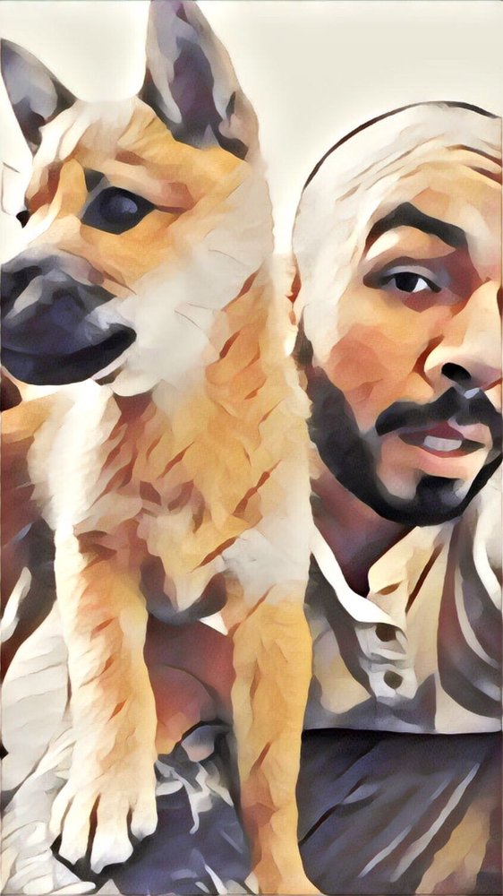 Stevie H.'s profile image