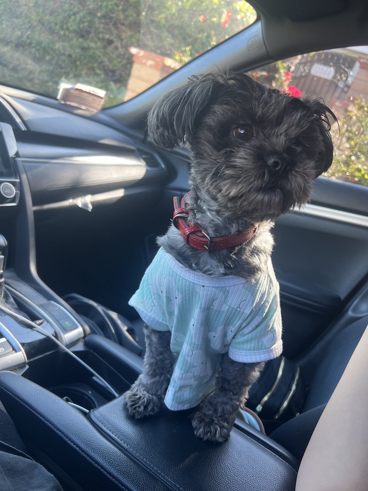 Mildred V.'s profile image