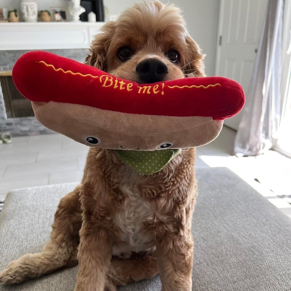 Ash G.'s profile image