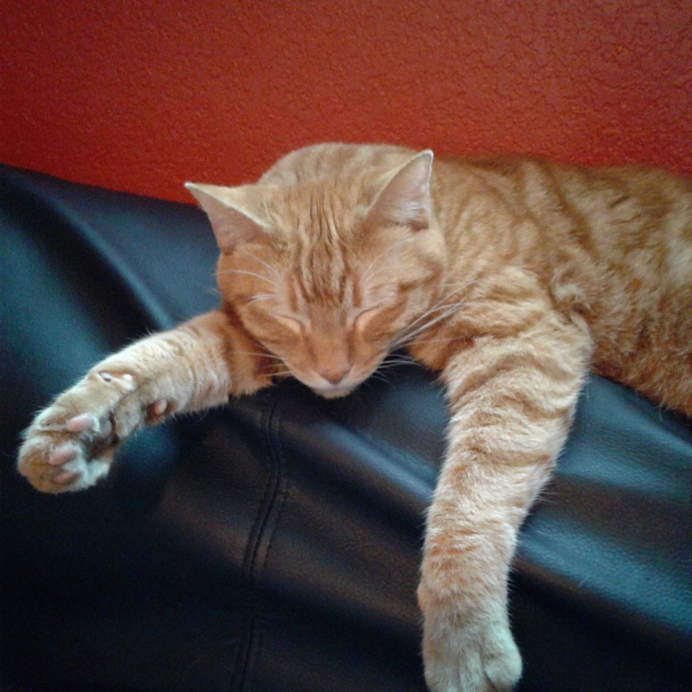 Krys V.'s profile image