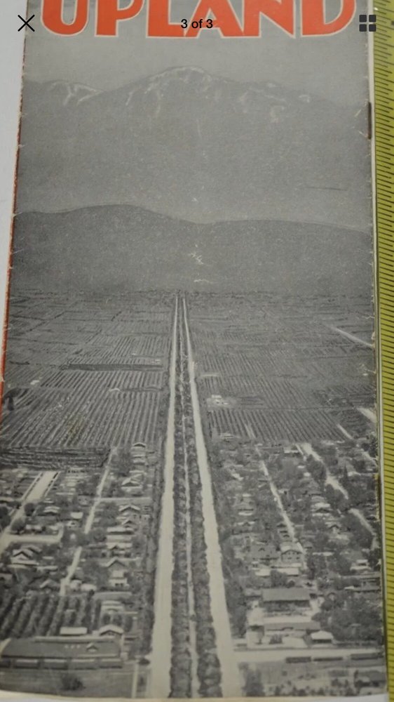 Mark A.'s profile image