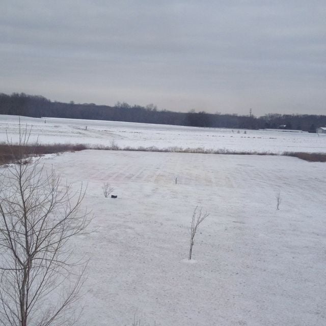 E H.'s profile image