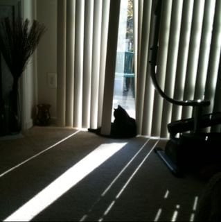 Trish J.'s profile image