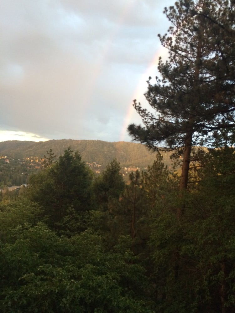 Lily R.'s profile image