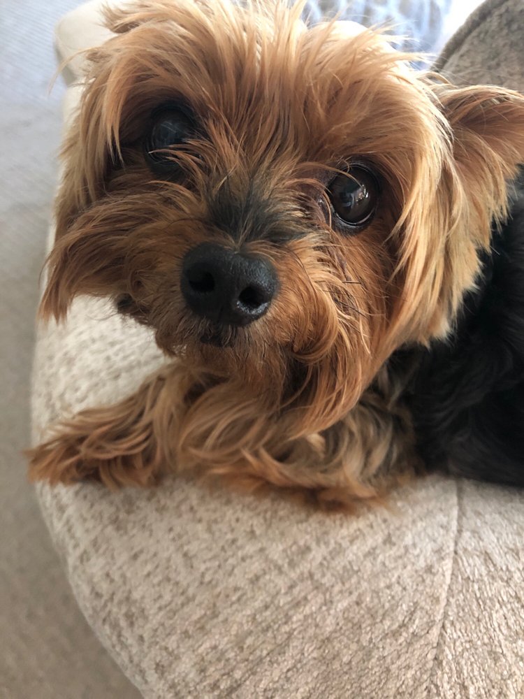 Candice H.'s profile image