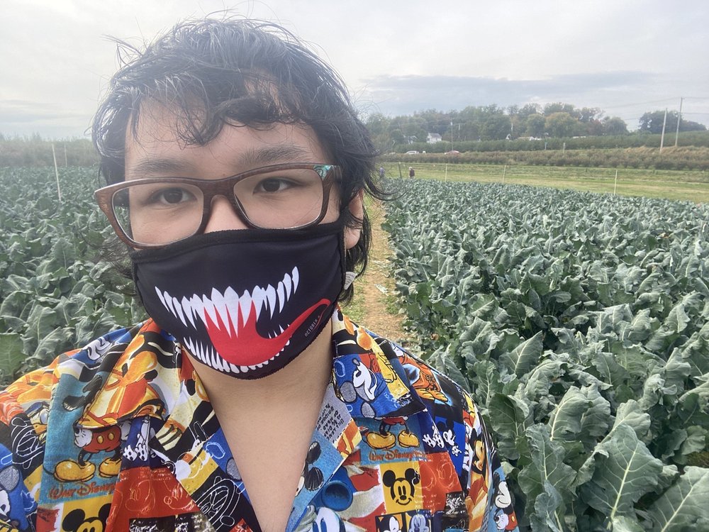 Dave N.'s profile image