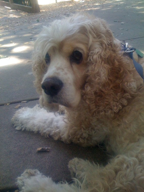 Kevin S.'s profile image