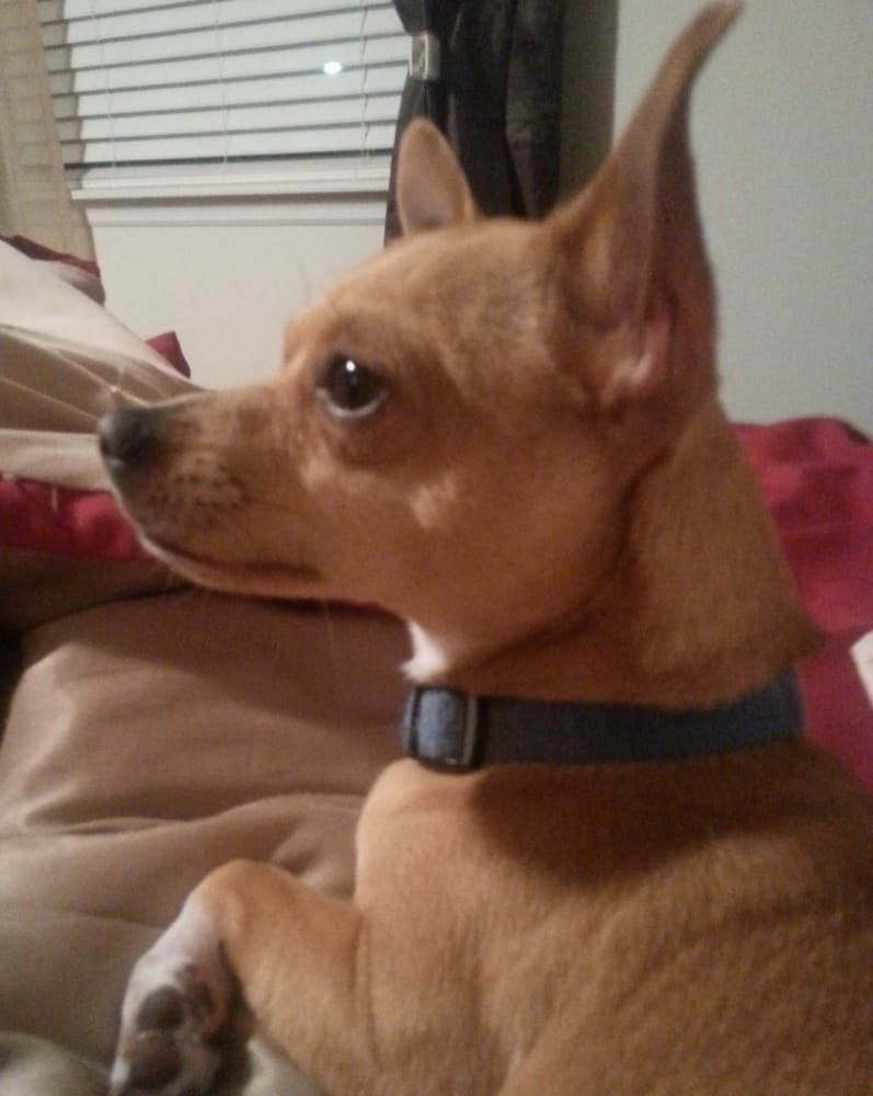 Donna B.'s profile image