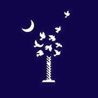 Brandy P.'s profile image