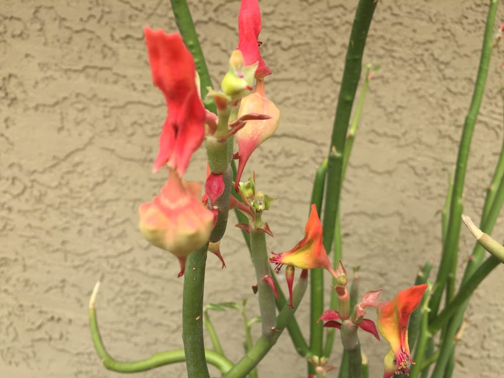 Shannon B.'s profile image