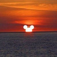 Sandra C.'s profile image