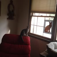 Clifford Wayne Lawson's profile image