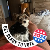 Debbie Young's profile image