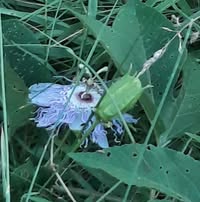 David Siepker's profile image