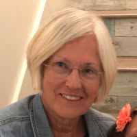 Jo Ann Steinert's profile image