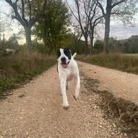 Leslie Woolverton's profile image