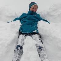 Laurie Peterson's profile image