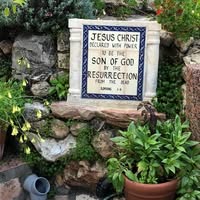 Dee Fagerburg Williams's profile image