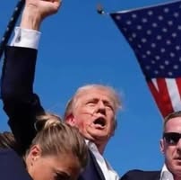 Brian McVay's profile image