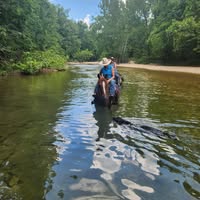 Dana Beamish's profile image