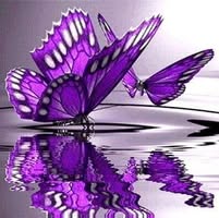 Debbie Turner's profile image