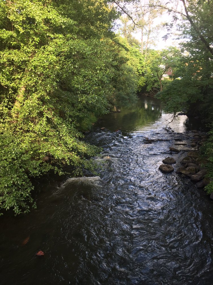 Jill K.'s profile image