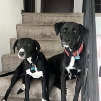 Jon Maxey's profile image