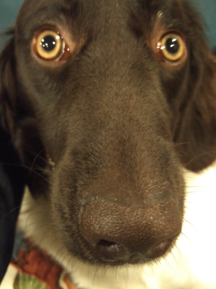 Brent R.'s profile image