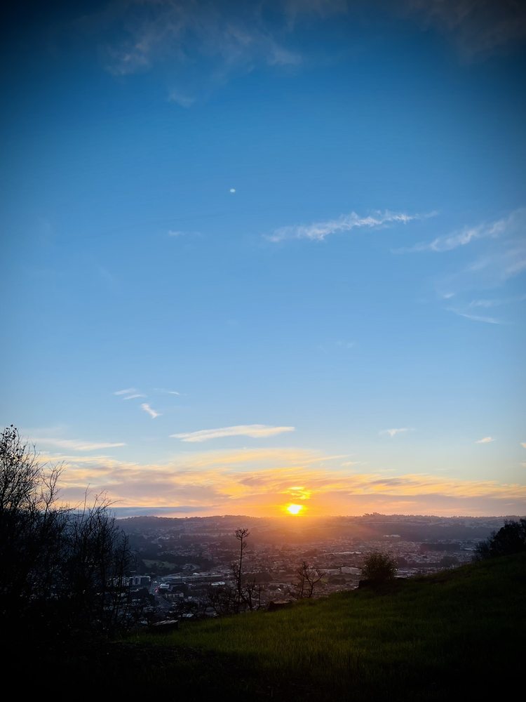 Suman C.'s profile image