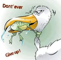 Tilla Lombard's profile image