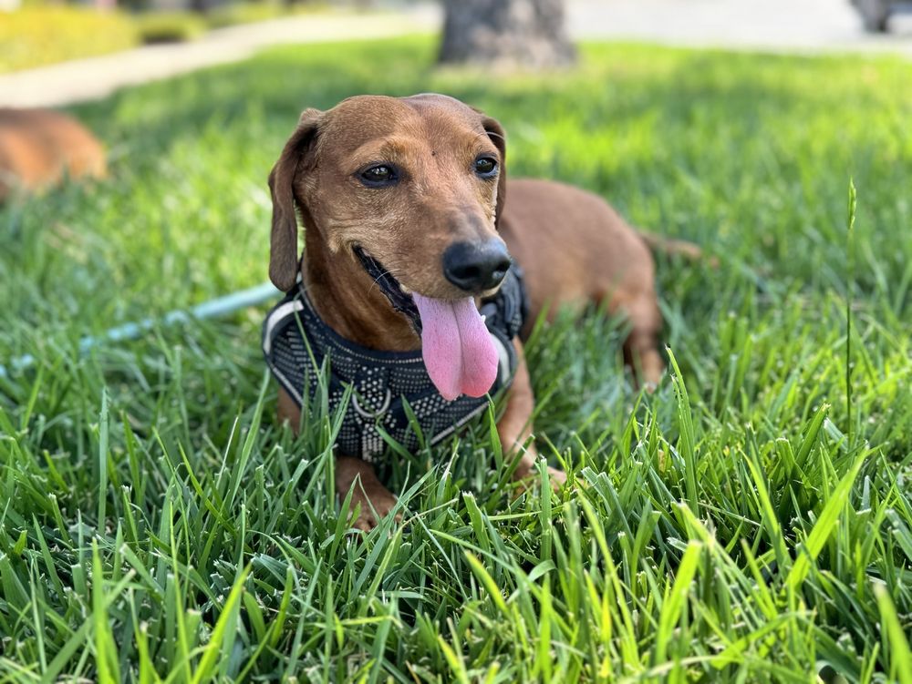 Whitney G.'s profile image