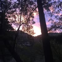 Jackie Blair-Merritt's profile image